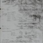 Stahlecker Report on extermination of Jews in the Baltics until October 15. 1941