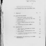 Stahlecker Report on extermination of Jews in the Baltics until October 15. 1941